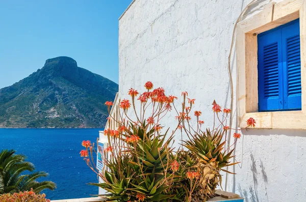 Květy modré dřevěné okno řecké Kalymnos, Řecko — Stock fotografie