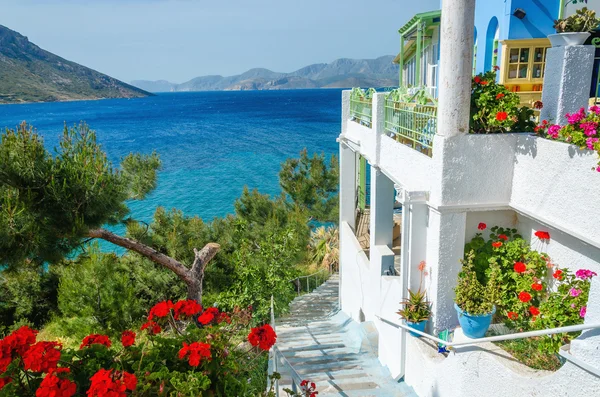 Griechisches Studio mit Blumen und weißer Terasse Griechenland — Stockfoto