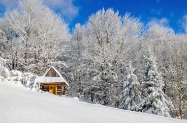 Cabin covered with snow in hills, Poland clipart