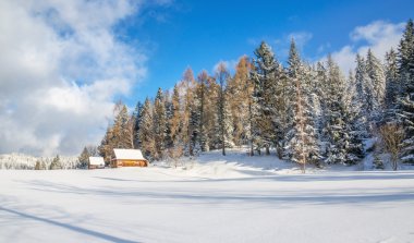 Çayır yollar ve kış kulübede dağ olmadan