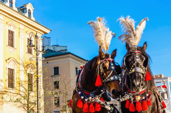 Paard rijtuigen aan hoofdplein, Krakow, Polen — Stockfoto