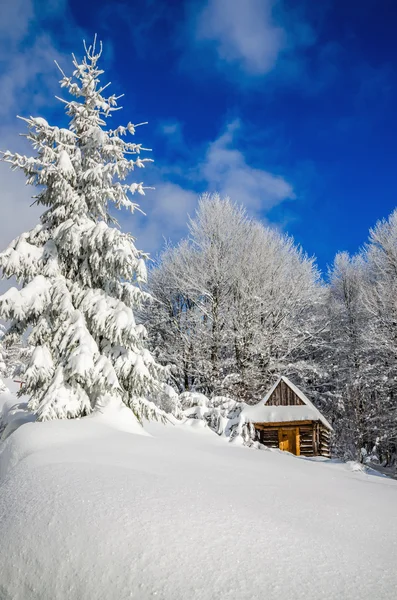 Kış manzara ormanda kulübede dağ