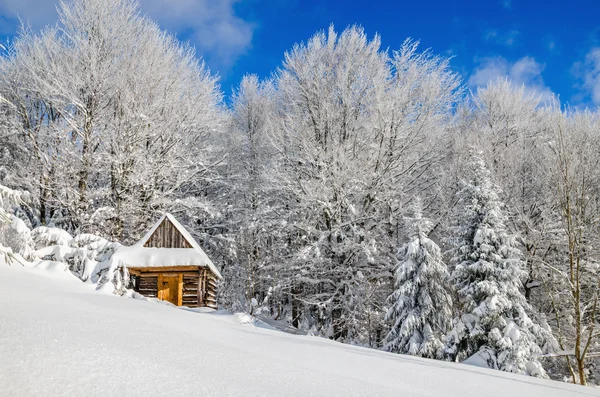 Cabane couverte de neige dans les collines, Pologne — Photo