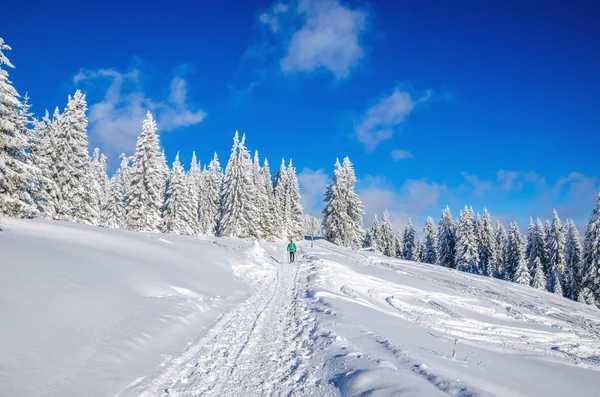 Strada escursionistica invernale in montagna con neve — Foto Stock