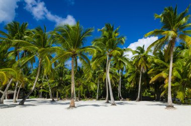 Caribbean Beach şaşırtıcı görünümü