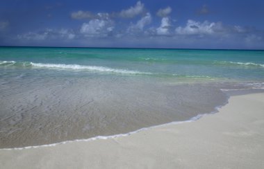 Egzotik plaj, mavi gökyüzü