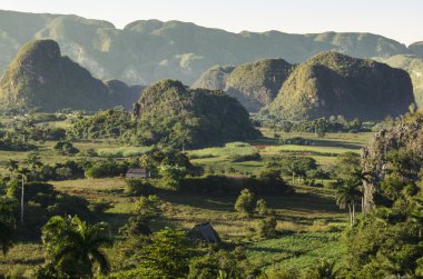 Valle de Vinales Küba'da mogotes ile