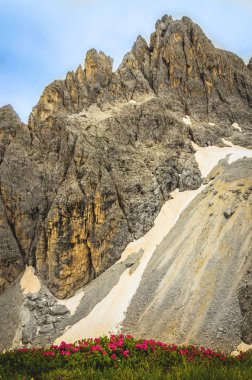 Dolomites Dağları kar ve dağ çiçekli