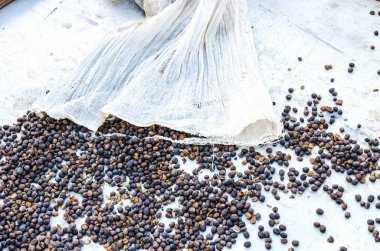 kurutulmuş çilek kahve çekirdekleri