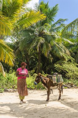 Koyu tenli siyah kadın eşek ile