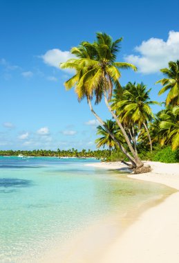 Caribbean Beach şaşırtıcı görünümü