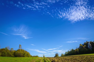 Pastoral manzara toprak yol