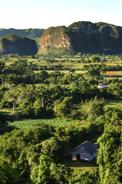 Valle de Vinales Küba'da mogotes ile