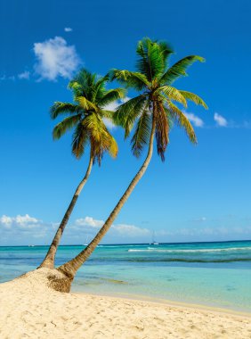 Caribbean Beach şaşırtıcı görünümü