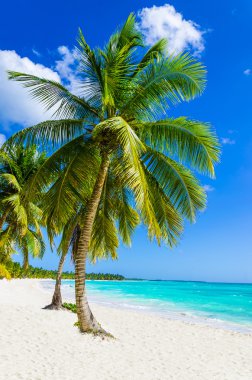 Caribbean Beach şaşırtıcı görünümü