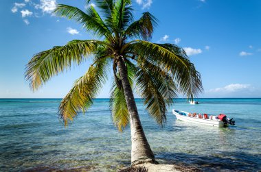 Caribbean beach with boat clipart