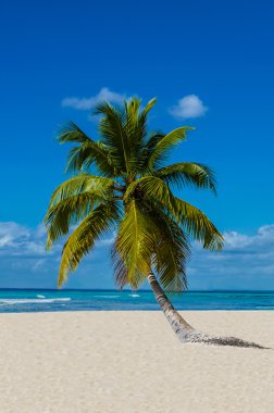 Caribbean Beach şaşırtıcı görünümü