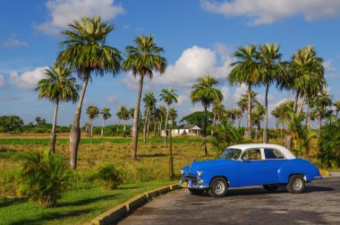 Mavi klasik Amerikan otomobil