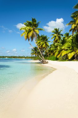 Amazing view of Caribbean beach clipart
