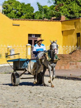 At arabası üzerinde tipik Küba işçi