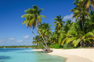 Caribbean Beach şaşırtıcı görünümü