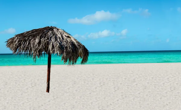 Tropisk strand, palm träd paraply — Stockfoto