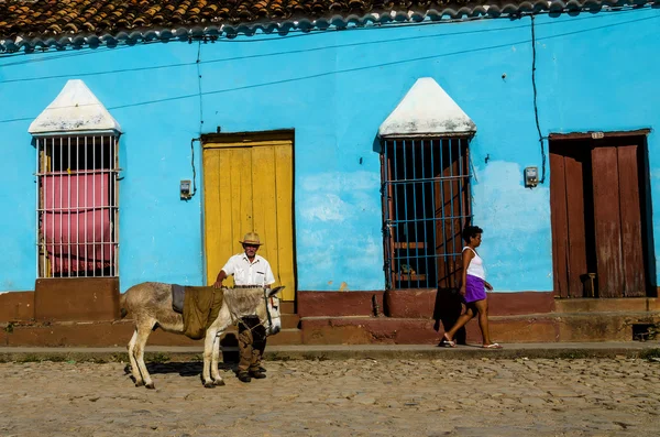 Old man with donkey — Stock Photo, Image