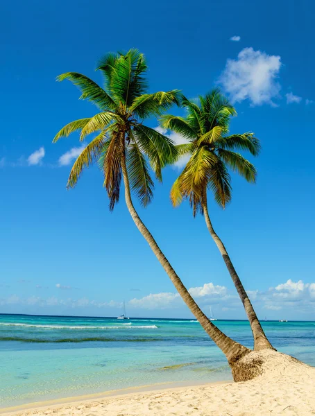 Incredibile vista sulla spiaggia caraibica — Foto Stock