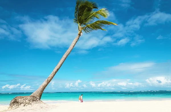 Пляж с людьми и пальмами — стоковое фото