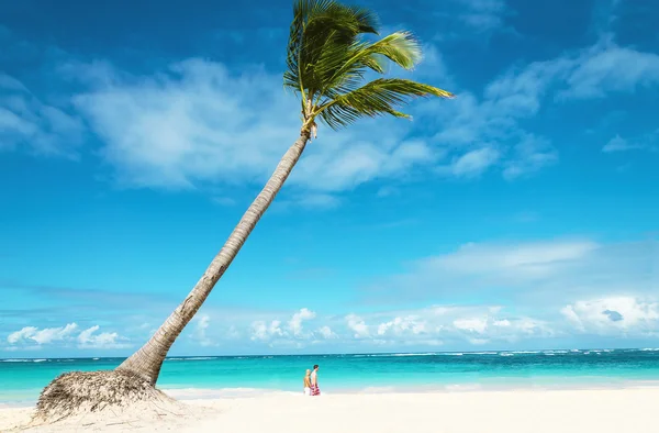 Beach with people and palm trees — Stock Photo, Image