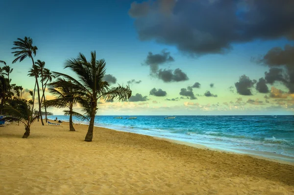 Sunrise on the exotic beach — Stock Photo, Image