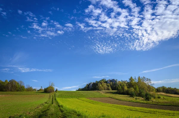 Camino de tierra paisaje idílico — Foto de Stock