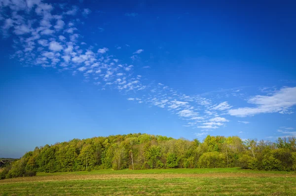 Idylliskt landskap med blå himmel — Stockfoto