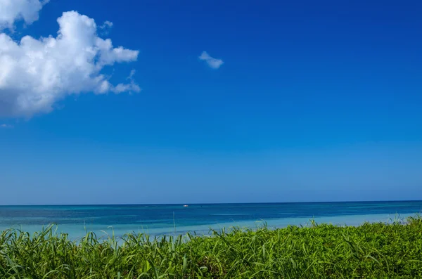 Acqua blu e spiaggia — Foto Stock