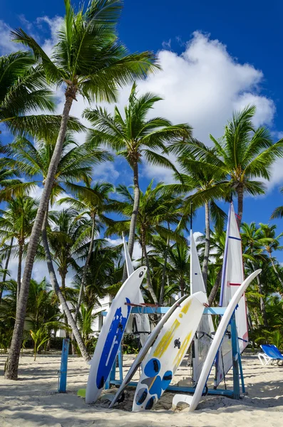 カリブ海のビーチでサーフボード — ストック写真