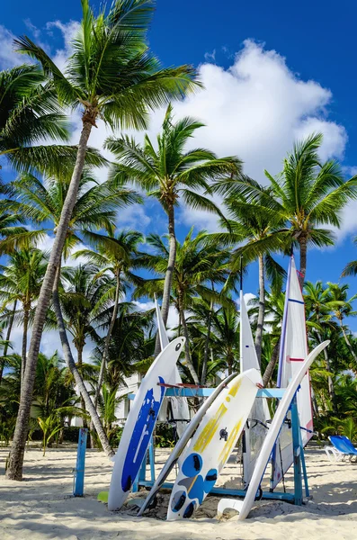 Surfboards on Caribbean beach — Stock Photo, Image