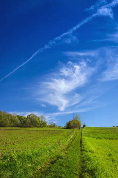 Idylliskt landskap med blå himmel — Stockfoto