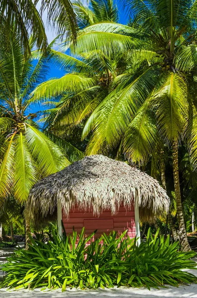 Covered with a thatched roof hut — Stock Photo, Image