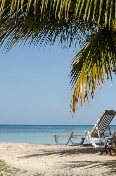 Tropical beach chair — Stock Photo, Image