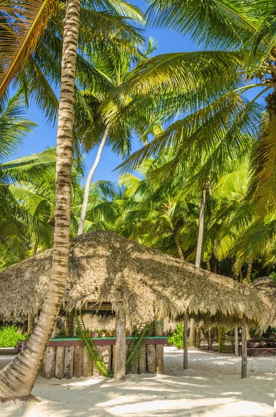 Covered with a thatched roof hut — Stock Photo, Image