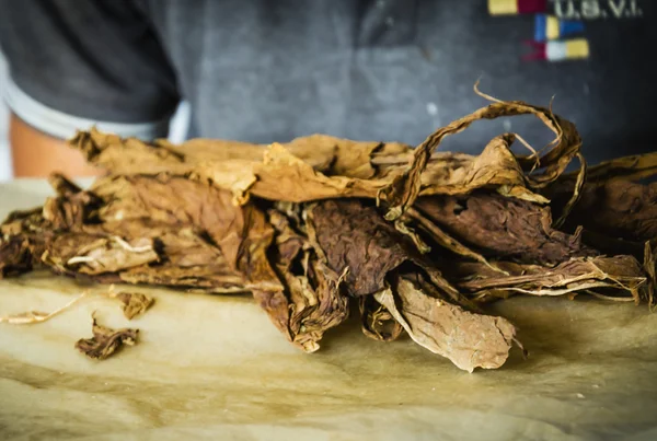 Fabricação tradicional de charutos — Fotografia de Stock