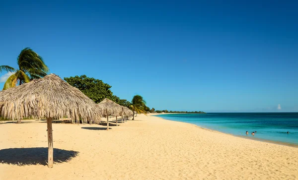 Spiaggia con ombrelloni di palma, sabbia dorata — Foto Stock