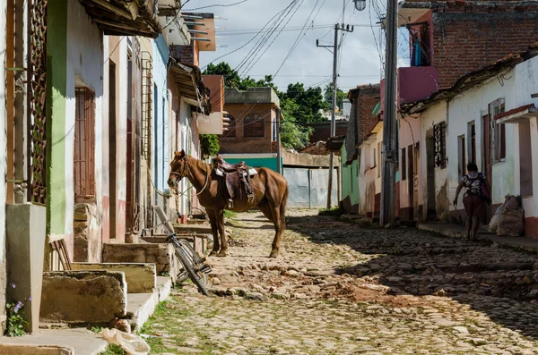 Caballo en la calle Trinidad — Foto de Stock