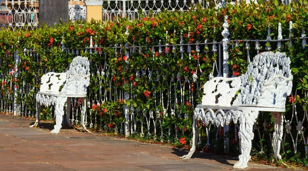 Panchine bianche nel parco — Foto Stock