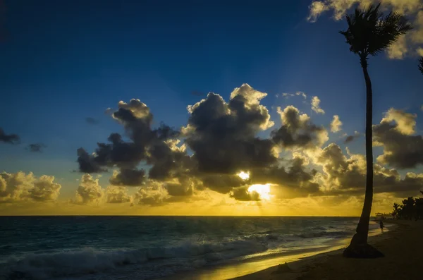 Solnedgång över havet med utsikt på palms — Stockfoto