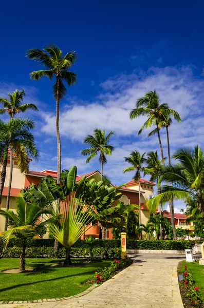 Blick auf das karibische Resort — Stockfoto