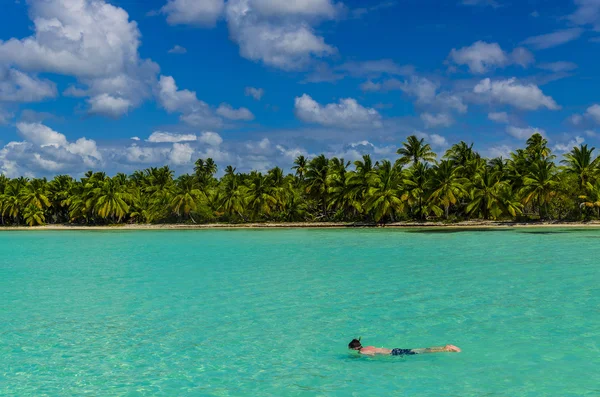 Mergulhador perto da costa das Ilhas Caraíbas — Fotografia de Stock