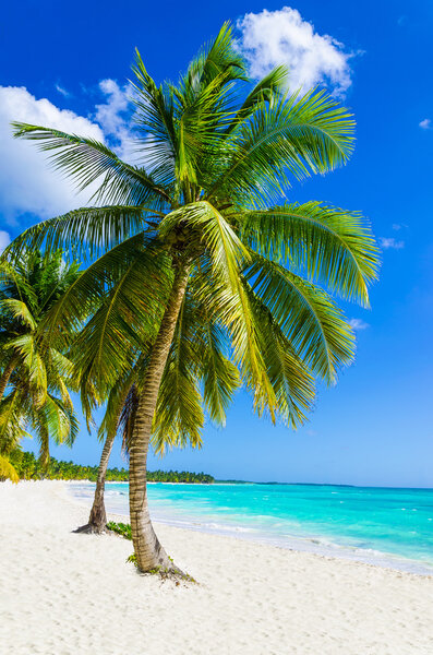 Amazing view of Caribbean beach