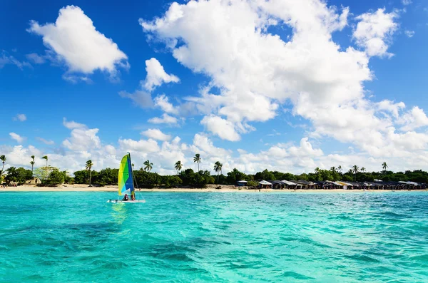 katamaran masmavi su