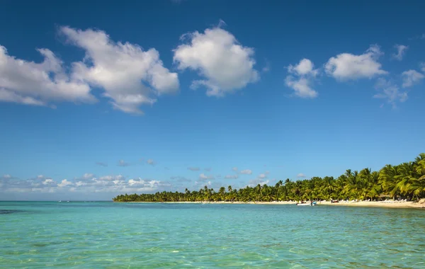 Palmbomen over prachtige lagune — Stockfoto